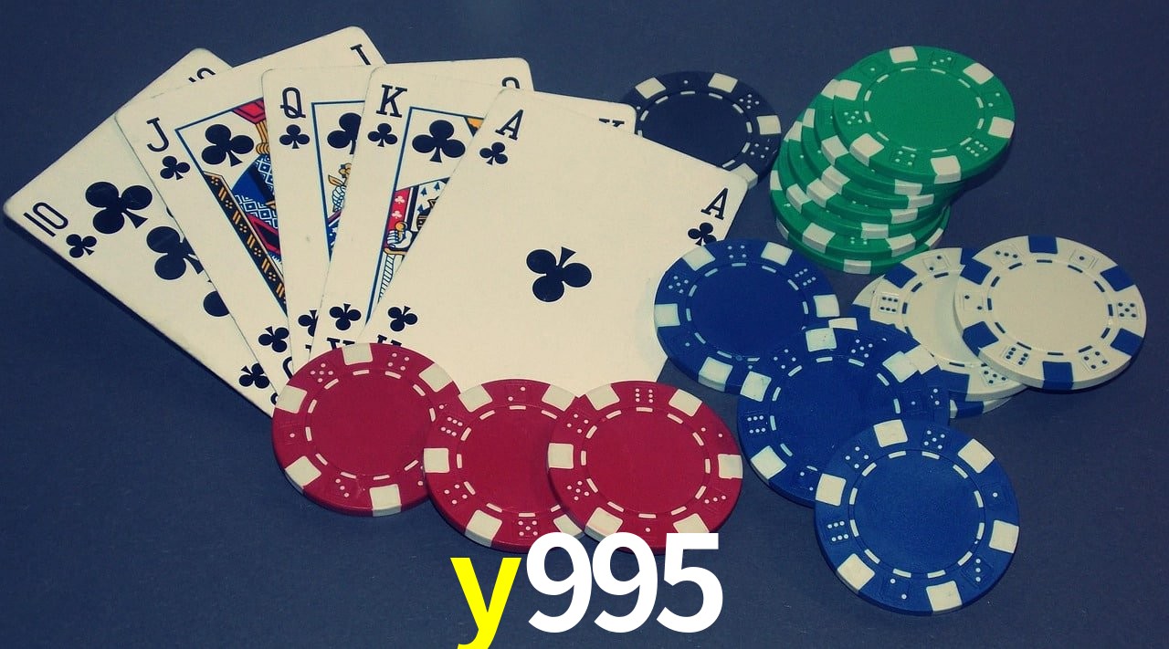 Experiência VIP y995